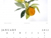 jan