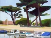 'Pine Trees & Fishing Boats, Mordialloc'